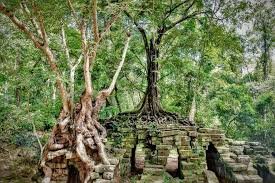 Cambodia Bike Tour 13 Days